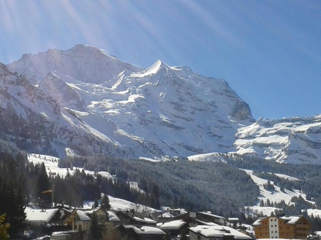 Hotel Berghaus Wengen Exterior photo