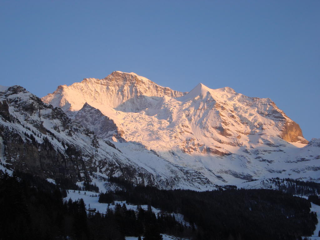 Hotel Berghaus Wengen Exterior photo